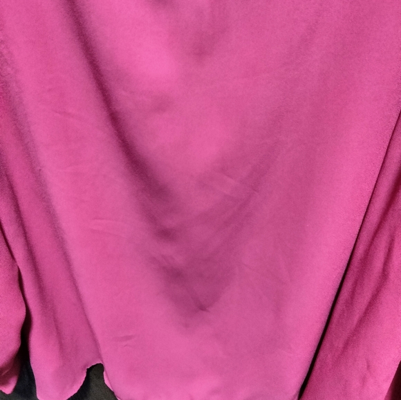 **FLAWED** Torrid Blouse - Picture 8 of 14